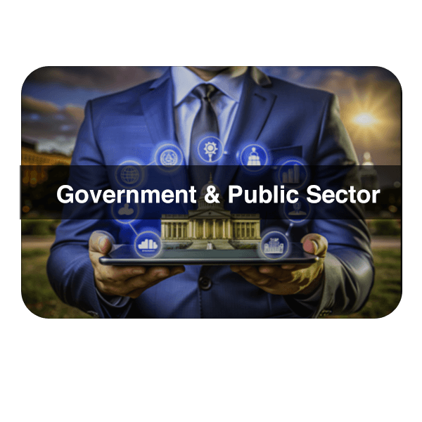 Government & Public Sector