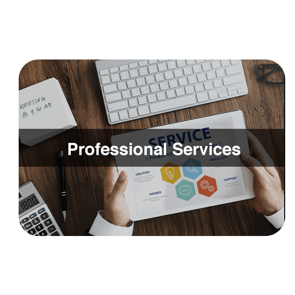 Professional Services